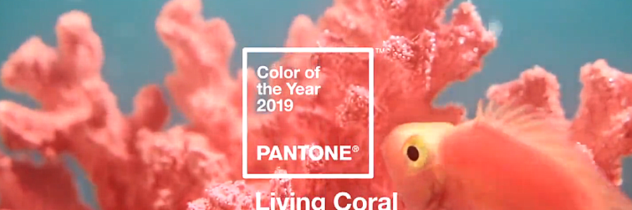 Цвет Pantone 2019